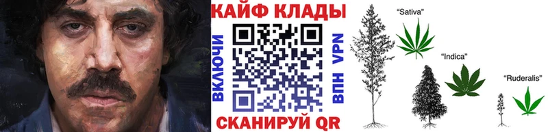 Цена Дорогобуж Псилоцибиновые грибы  АМФ  Меф  APVP 