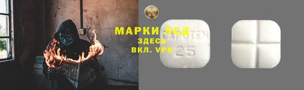 Альфа ПВП Аркадак