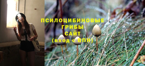 первитин Армянск
