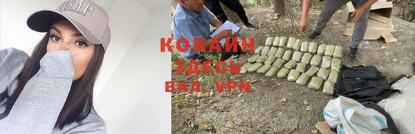 Альфа ПВП Аркадак