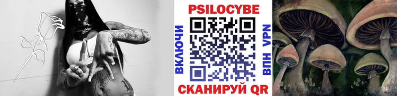 Псилоцибиновые грибы прущие грибы  закладка  Дорогобуж 